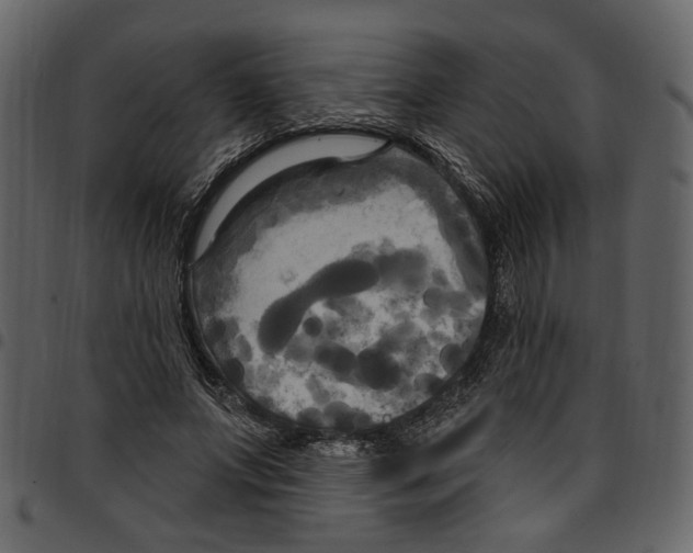 X0000097510687200803201616