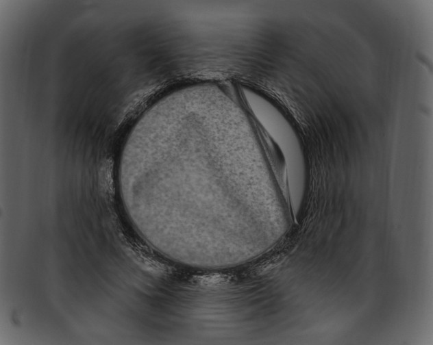 X0000097510688200803201616