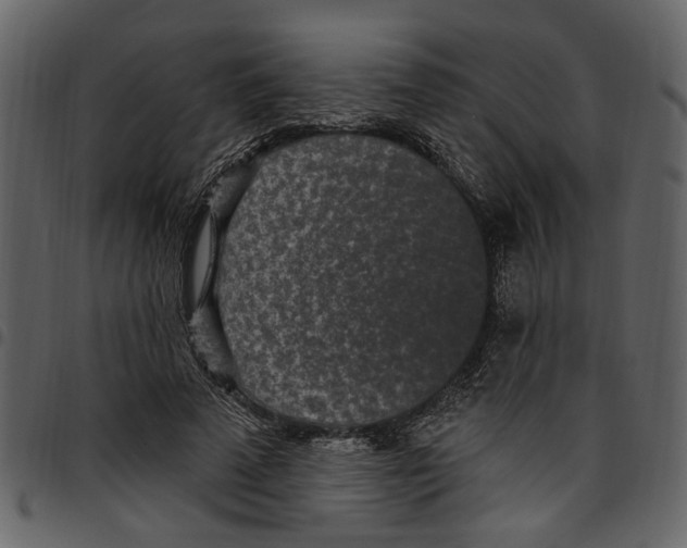 X0000097510689200803201616