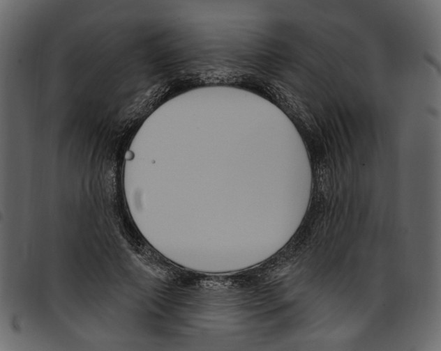 X0000097510690200803201616