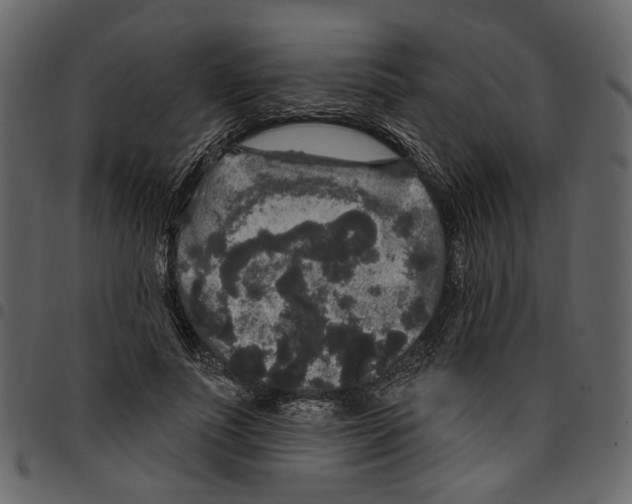 X0000097510691200803201616