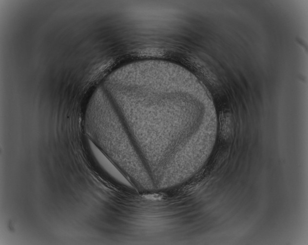 X0000097510692200803201616