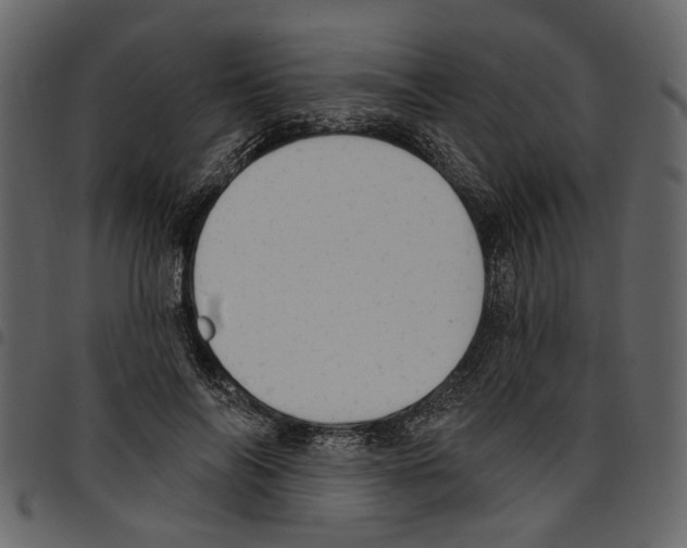 X0000097510694200803201616