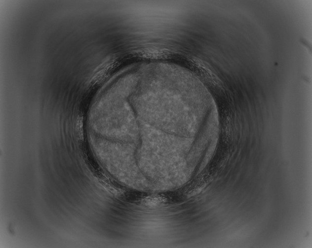 X0000097510696200803201616