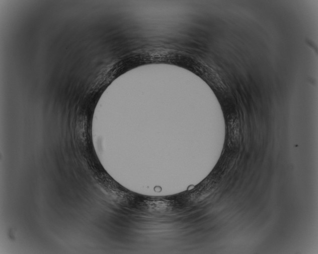 X0000097510698200803201616