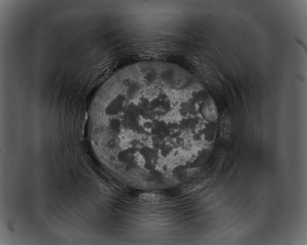 X0000097510699200803201616
