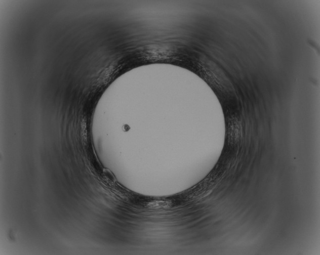 X0000097510700200803201615