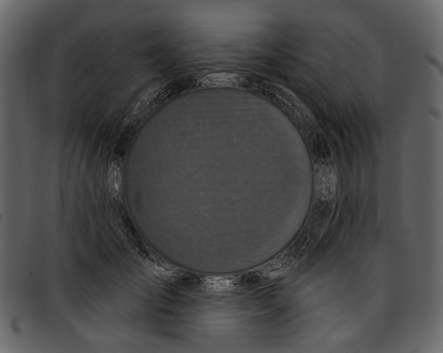X0000097510701200803201615