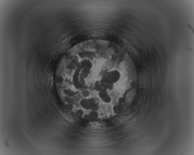 X0000097510703200803201615