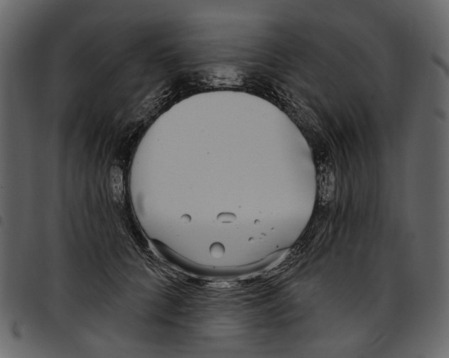 X0000097510704200803201615