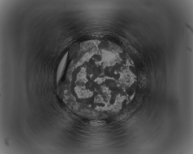 X0000097510707200803201615