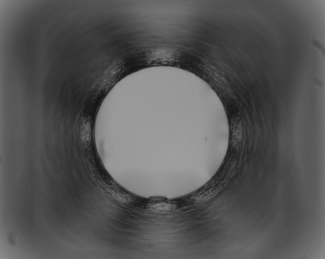 X0000097510708200803201615