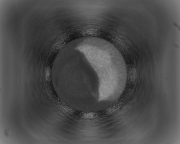 X0000097510709200803201615