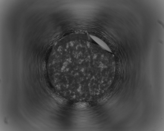 X0000097510711200803201615