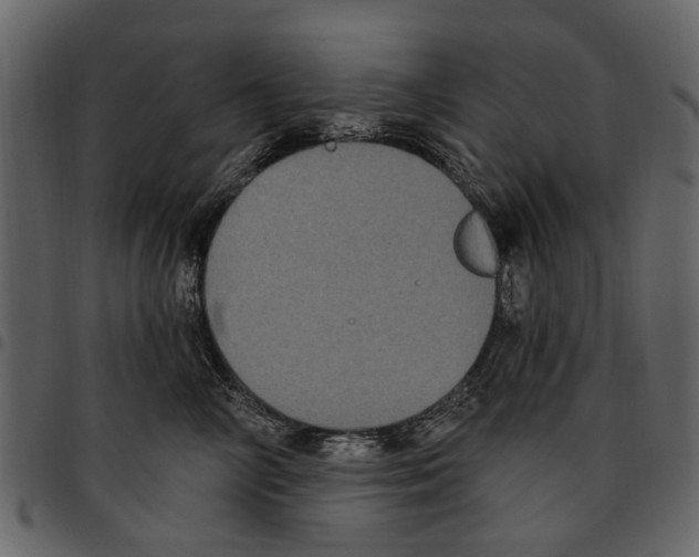 X0000097510714200803201615
