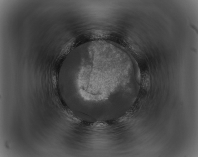 X0000097510716200803201615