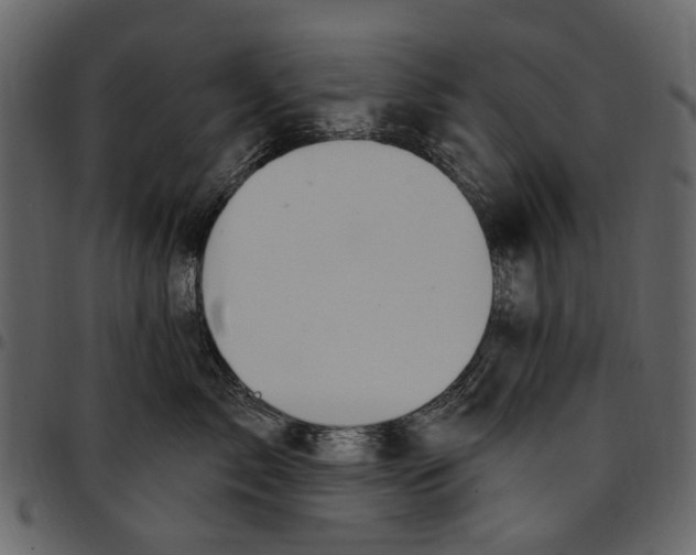 X0000097510717200803201615