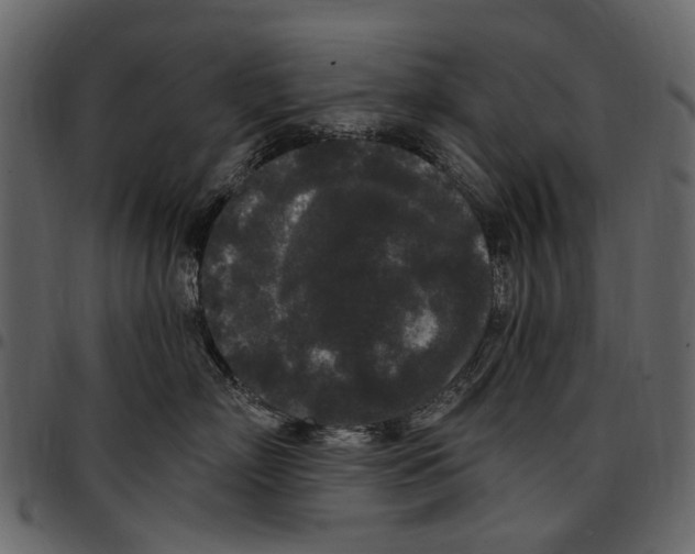 X0000097510718200803201615