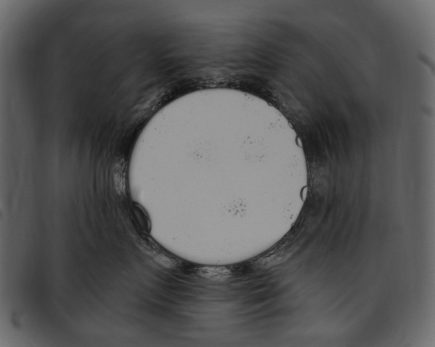X0000097510719200803201615