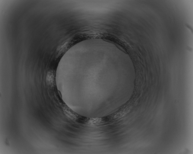 X0000097510720200803201615