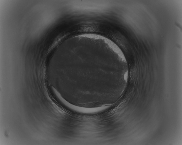 X0000097510722200803201615