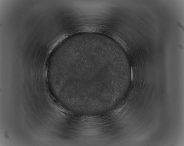 X0000097510723200803201615