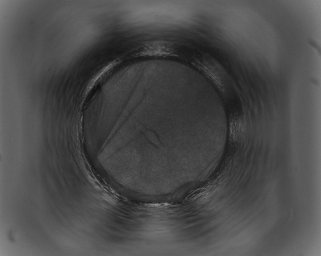 X0000097510724200803201615