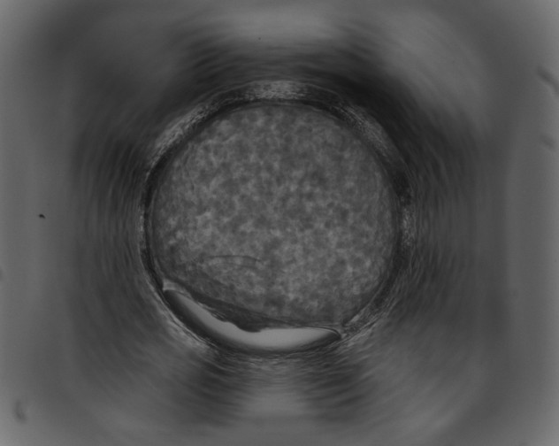 X0000097510725200803201615