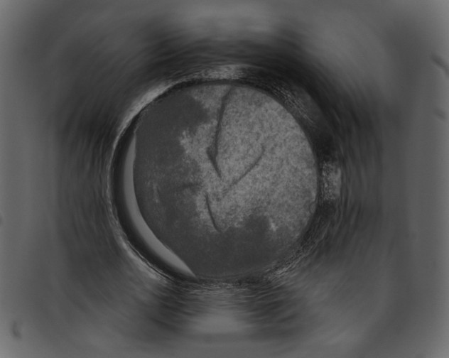 X0000097510726200803201615