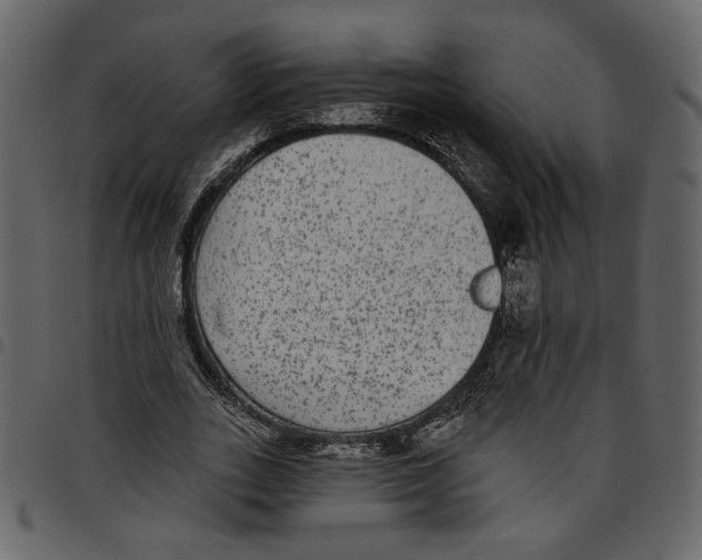 X0000097510727200803201615