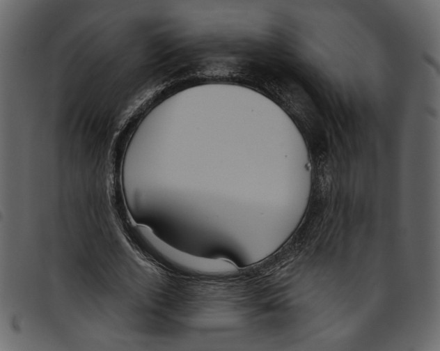 X0000097510728200803201615