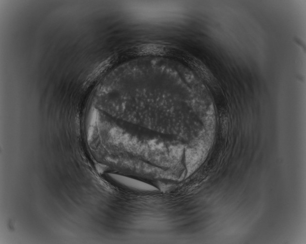 X0000097510729200803201615
