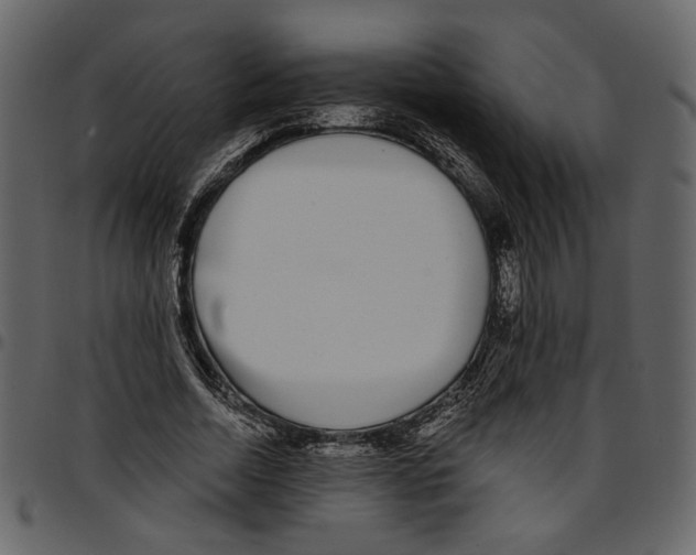 X0000097510730200803201615