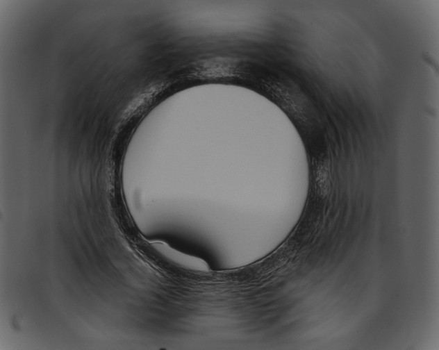 X0000097510732200803201615