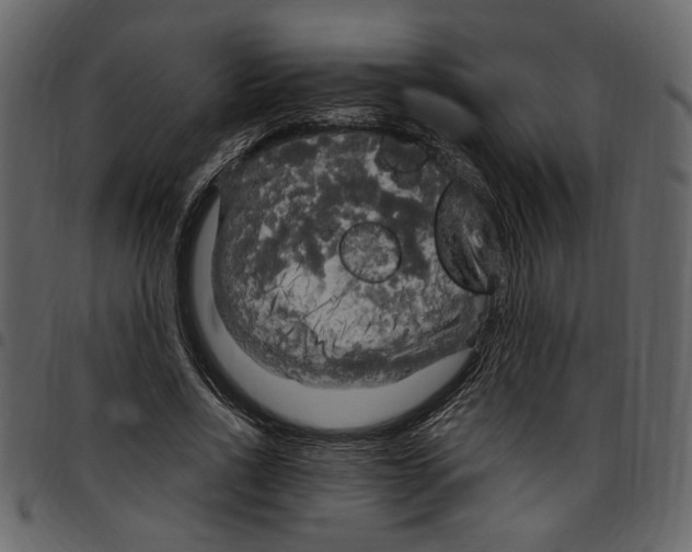 X0000097510734200803201615
