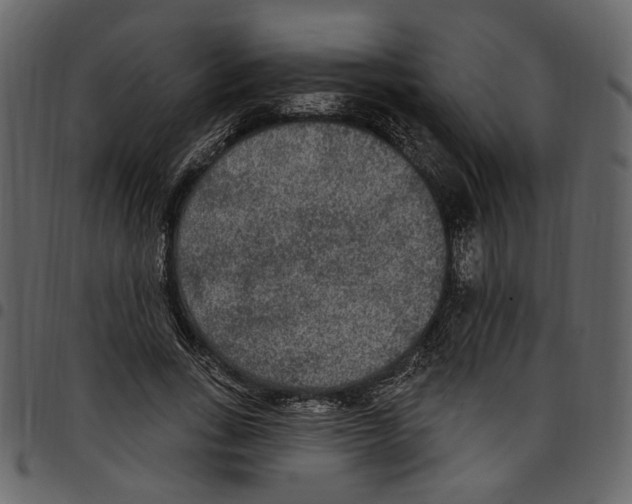X0000097510735200803201615
