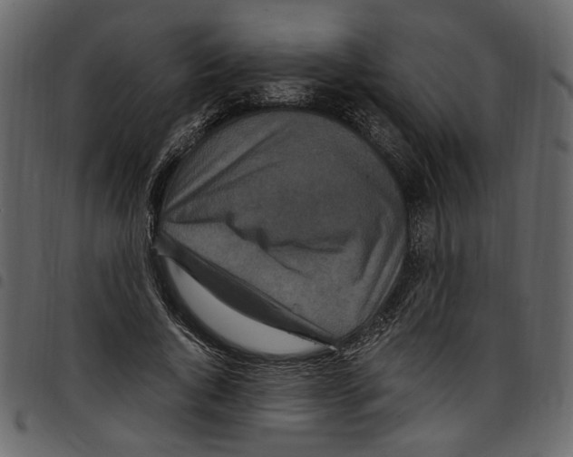 X0000097510736200803201615