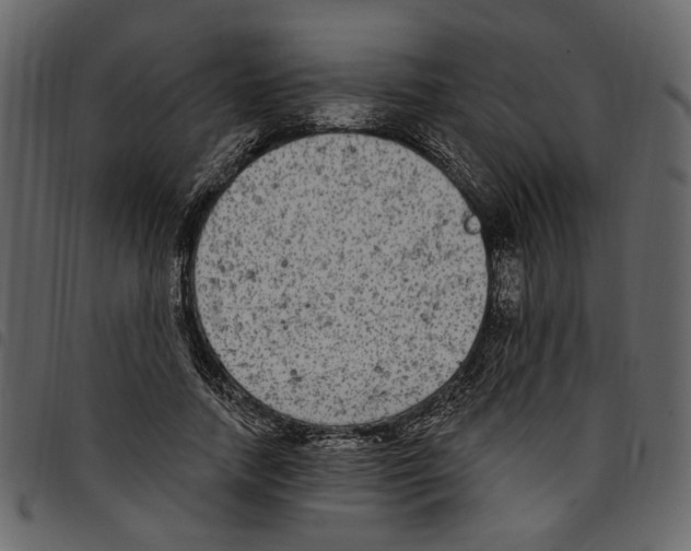 X0000097510738200803201615