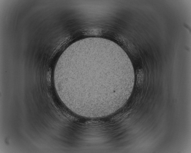 X0000097510739200803201615