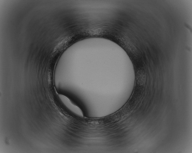 X0000097510740200803201615