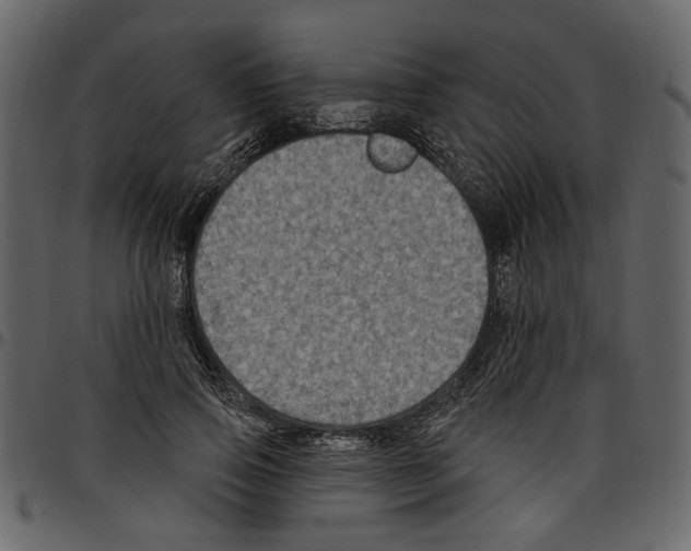 X0000097510741200803201615