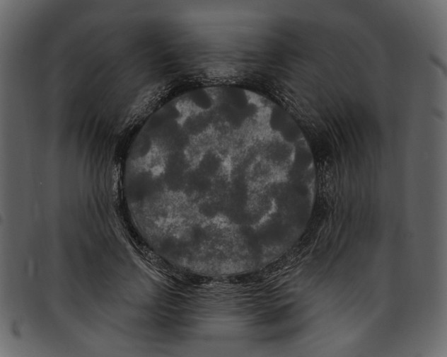 X0000097510742200803201615