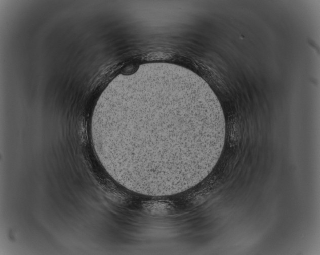 X0000097510743200803201615