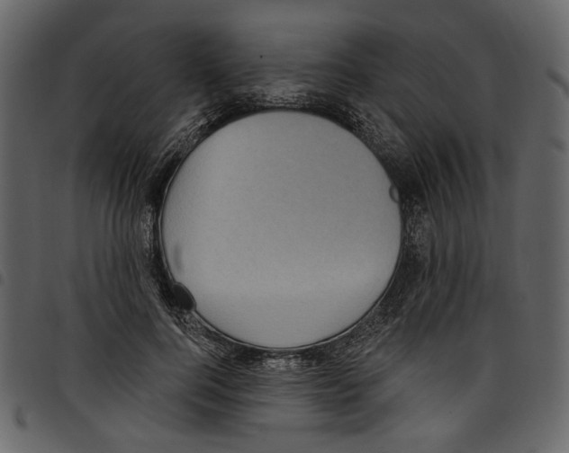 X0000097510744200803201615