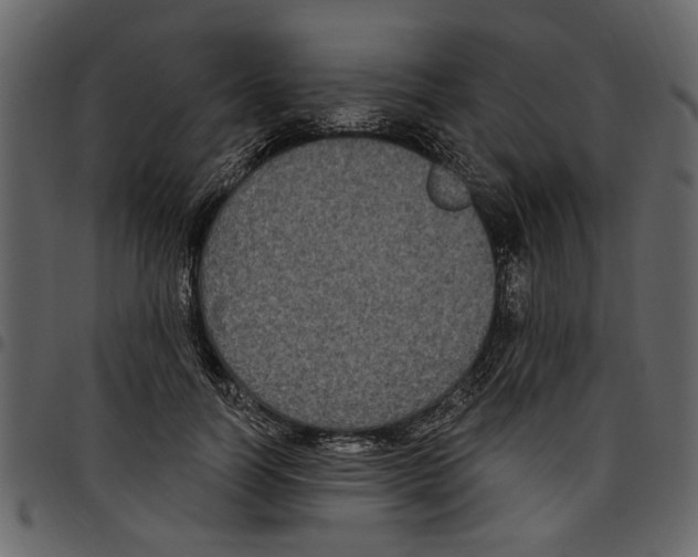 X0000097510746200803201615