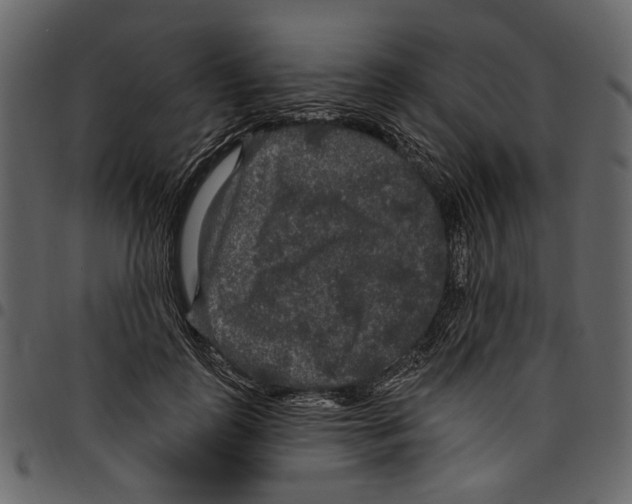 X0000097510747200803201615