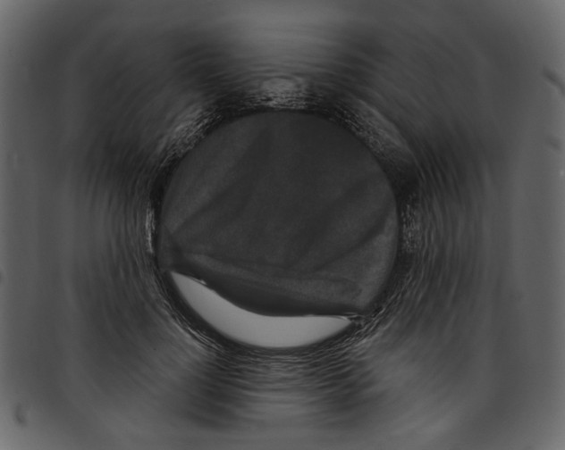 X0000097510748200803201615