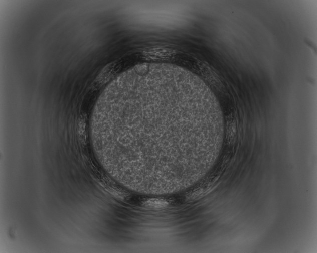 X0000097510749200803201615