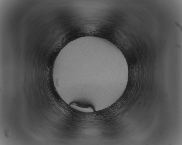 X0000097510750200803201615