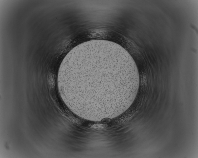 X0000097510751200803201615